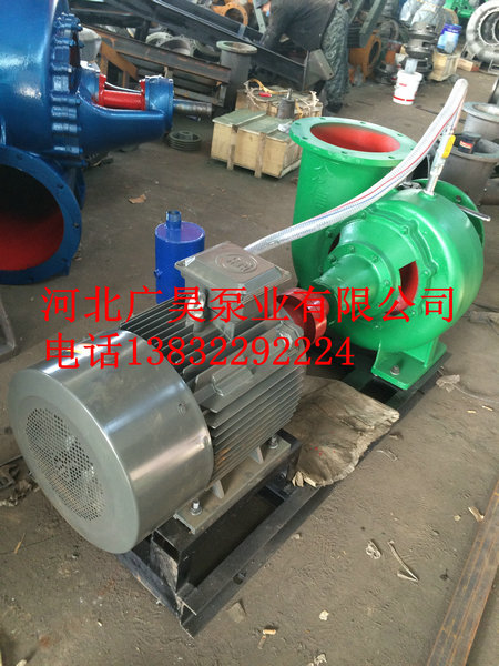 混流泵整机 (4)