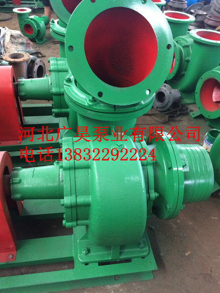 混流泵整机 (31)