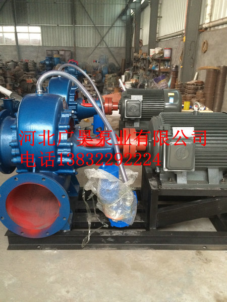 混流泵整机 (10)