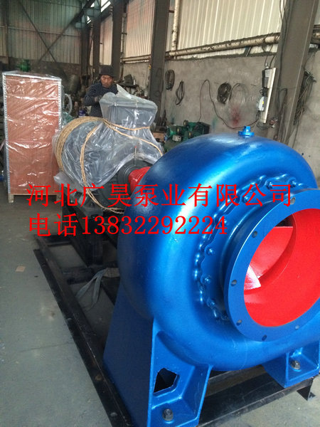 混流泵整机 (24)