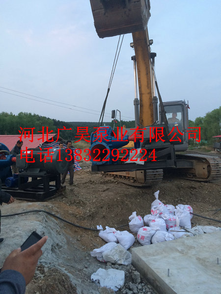 混流泵整机 (27)