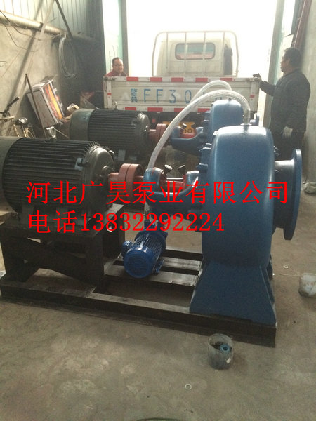 混流泵整机 (11)