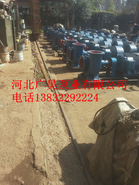 混流泵整机 (15)