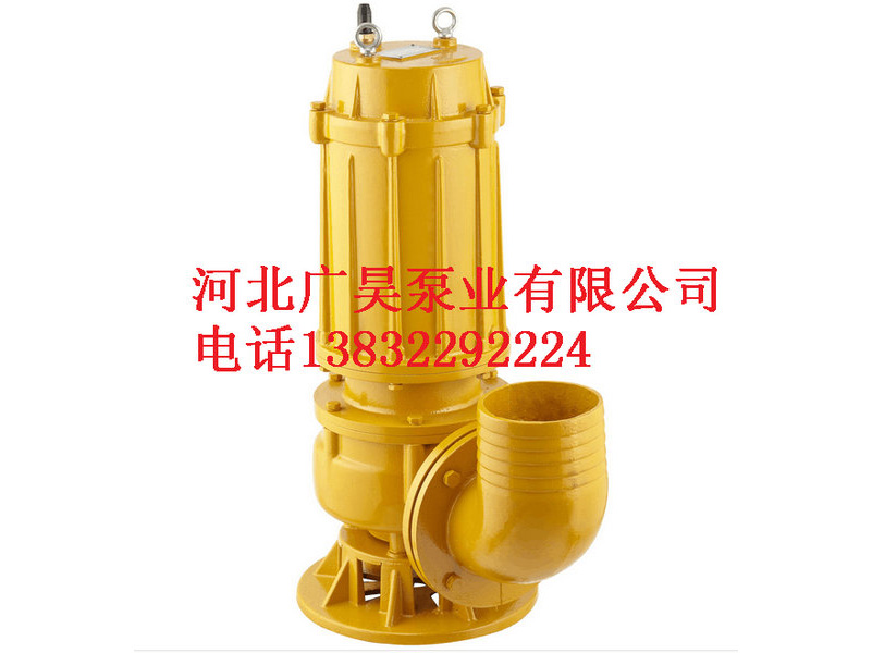 潜污泵 (2)