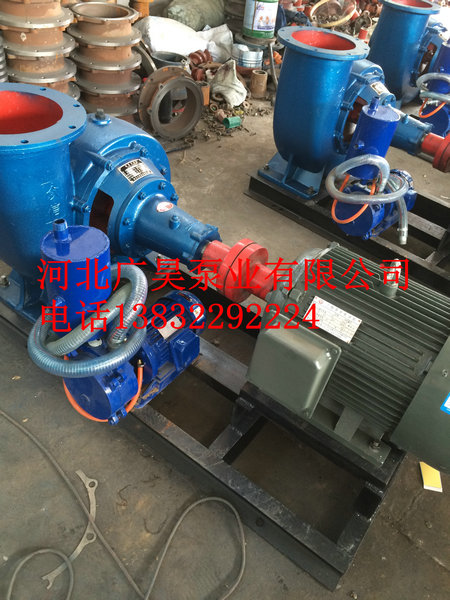 混流泵整机 (26)