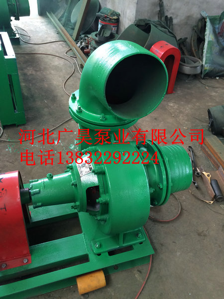 混流泵整机 (21)