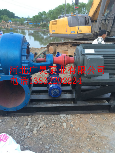 混流泵整机 (29)