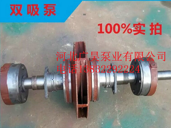 SH双吸泵 (12)